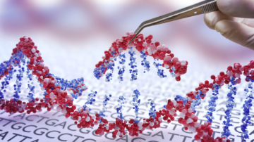 专家组制定基因编辑指南，谴责创造“ CRISPR”婴儿的风险 中网时尚,stylechina.com