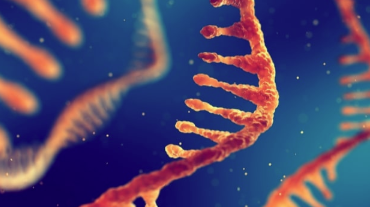 解开人体的智能传感器：RNA结合蛋白可以告诉我们有关基因调控的信息 中网时尚,stylechina.com