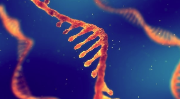 Strand Therapeutics的mRNA逻辑电路可增强基因疗法的安全性,简便性和可控性 中网时尚,stylechina.com