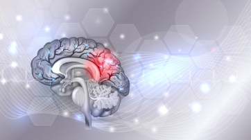 ESCAPE Bio获得7300万美元,用于推进神经退行性临床开发计划 中网时尚,stylechina.com