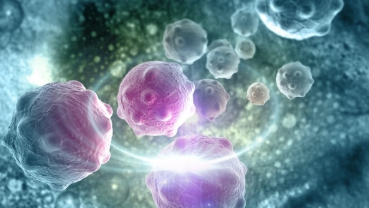 ESMO：默克和阿斯利康的5年Lynparza卵巢癌及其他疾病数据 中网时尚,stylechina.com