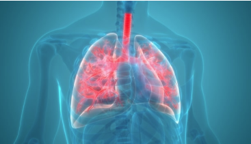 研究显示，Genentech药物有益于COVID-19相关性肺炎患者 中网时尚,stylechina.com