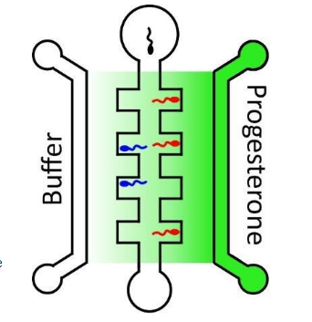 用于定量精子趋化性的无流量微流控设备 中网时尚,stylechina.com