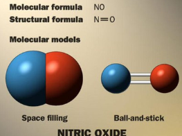 氮到铵的工业转化为农业提供了肥料 中网时尚,stylechina.com