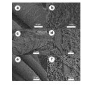 化学使自然奇观的织物羊毛更加奇妙 中网时尚,stylechina.com