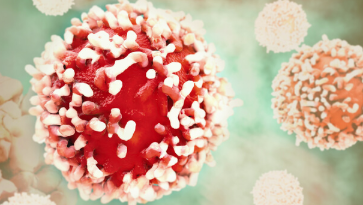 辉瑞公司在第三阶段乳腺癌试验中的智识失败 中网时尚,stylechina.com