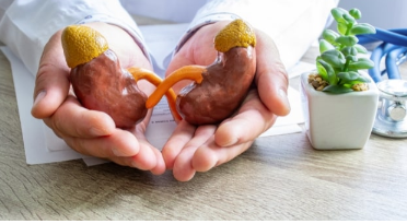 对原发性高草酸尿症的希望:Alnylam分享了积极的试验结果 中网时尚,stylechina.com