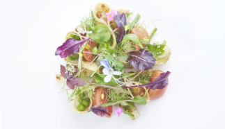 新加坡最受欢迎的沙拉的演变 中网时尚,stylechina.com