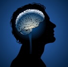 将促红细胞生成素重新设计为可穿透小鼠血脑屏障的IgG融合蛋白 中网时尚,stylechina.com