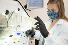 Lesaffre和Recombia Biosciences通过战略合作关系推进创新的基因编辑技术 中网时尚,stylechina.com