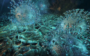 高致病性禽流感（H5N1）病毒的环境持久性 中网时尚,stylechina.com