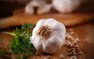 补充大蒜油可改善链脲佐菌素诱发的糖尿病大鼠的心脏收缩功能障碍和细胞凋亡 中网时尚,stylechina.com