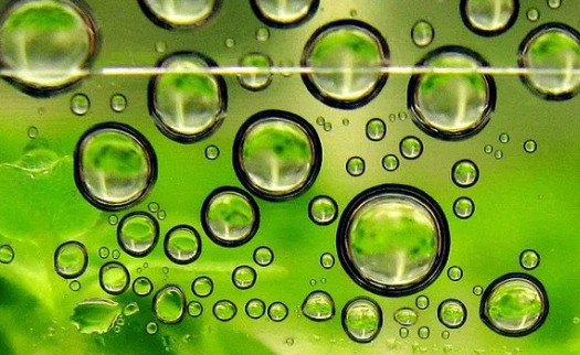 VC Seth Bannon谈拜登政府如何最好地支持气候初创企业 中网时尚,stylechina.com