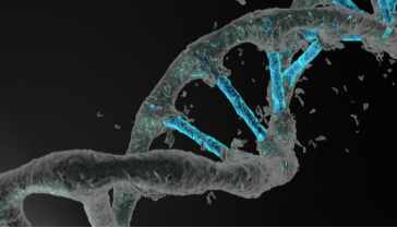 PerkinElmer以3.83亿美元收购CRISPR技术扩展了Horizo​​ns 中网时尚,stylechina.com