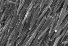 在纳米线模板上合成了三维模糊石墨烯，以创建一种用于光热刺激细胞的优质材料 中网时尚,stylechina.com