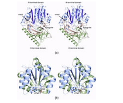 它有助于激活某些抗生素和抗癌药,从而使这些物质发挥作用 中网时尚,stylechina.com