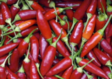 蛋白质组学分析在白色脂肪组织中的大鼠饲喂高脂肪食物的辣椒素的抗肥胖症潜在的 中网时尚,stylechina.com