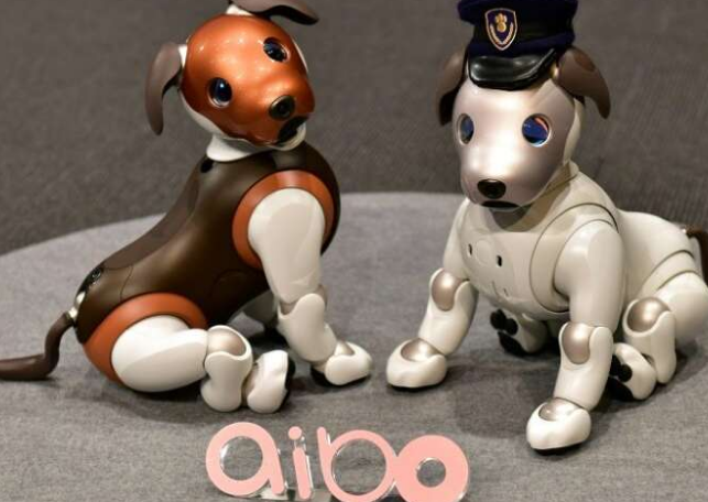 爪子巡逻：索尼在家中提供robocop狗 中网时尚,stylechina.com