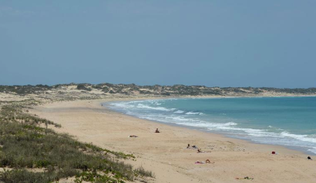 男子在鲨鱼袭击中在西澳大利亚受欢迎的海滩遇难 中网时尚,stylechina.com