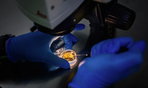 美国生育率称患者数据在勒索软件攻击中被盗 中网时尚,stylechina.com