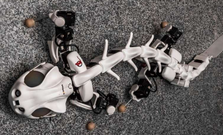 科学家们正在一项跨学科的研究项目下工作，以发现这种修复能力背后的机制 中网时尚,stylechina.com