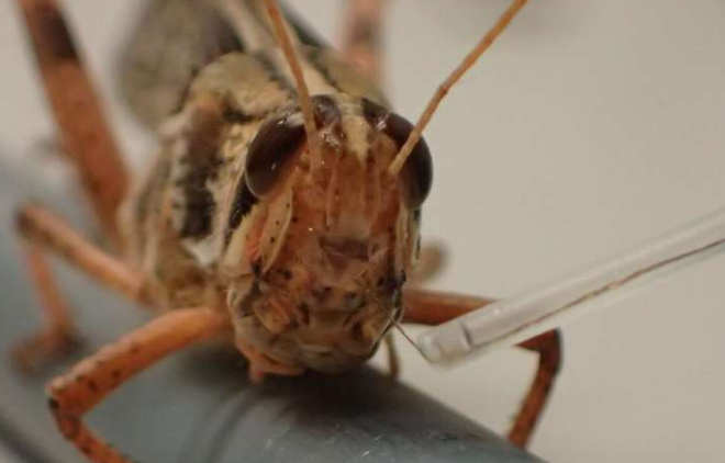 《生物传感器和生物电子学：X》 中网时尚,stylechina.com