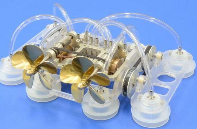 可以沿着抹香鲸的体表传播并收集有价值的行为数据 中网时尚,stylechina.com