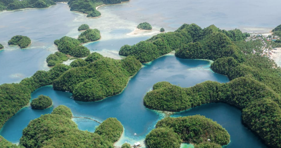 菲律宾的这些偏远泻湖将改变您对水母的感觉 中网时尚,stylechina.com