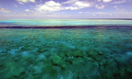 81岁的热带珊瑚鱼是科学家发现的最古老的鱼类 中网时尚,stylechina.com