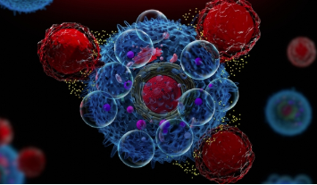 Bioniz的三管齐下的抗细胞因子疗法可阻止罕见的癌症扩散和炎症 中网时尚,stylechina.com