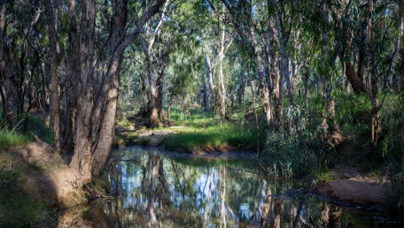 澳大利亚是西方对气候危机的最后支持。但是一些州和企业正在呼吁变革 中网时尚,stylechina.com
