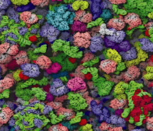 但是当中间座位空着时,像人一样的蛋白质挤在一起时的行为会有所不同 中网时尚,stylechina.com