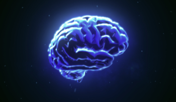 WUSTL研究人员发现Chiari 1脑畸形的原因难以捉摸 中网时尚,stylechina.com