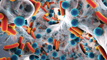 氟化物能否解决抗生素耐药性问题？一项新研究即将展开 中网时尚,stylechina.com