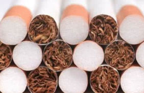 作为一种潜在的大规模生产替代传统商业杀虫剂的方法，受到了越来越多的科学关注 中网时尚,stylechina.com