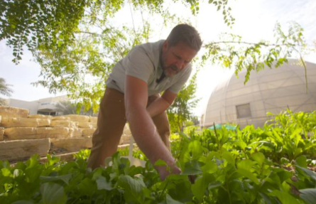 一年来，这个人只吃着迪拜可持续发展城市的粮食 中网时尚,stylechina.com
