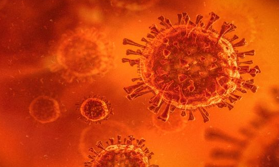 最新研究表明SARS-CoV-2如何演变成新的抗体逃避变体 中网时尚,stylechina.com