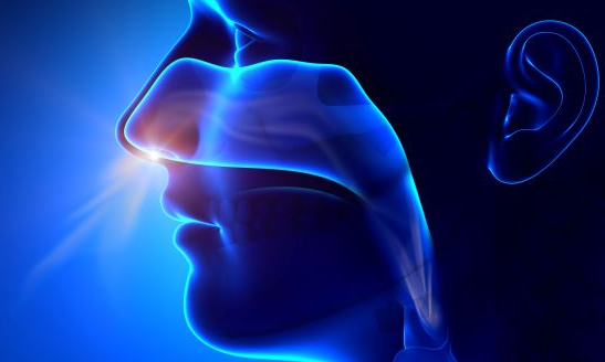 鼻内治疗可能作为COVID-19的疫苗和疗法 中网时尚,stylechina.com