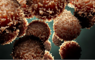 蛋白质组学方法可找到激进的癌症驱动因素并确定治疗方法 中网时尚,stylechina.com