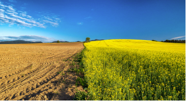 再生农业是抗击气候变化的下一个伟大盟友 中网时尚,stylechina.com