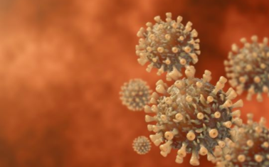 顶级研究科学家建议无针COVID-19疫苗即将问世 中网时尚,stylechina.com