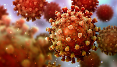 Oramed组建合资公司开发口服COVID-19疫苗 中网时尚,stylechina.com