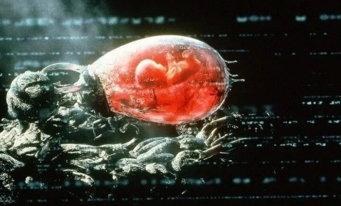 Nature:人造机器子宫!以色列科学家首次在人造子宫中培养哺乳动物胚胎 中网时尚,stylechina.com