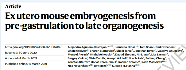 Nature:人造机器子宫!以色列科学家首次在人造子宫中培养哺乳动物胚胎 中网时尚,stylechina.com