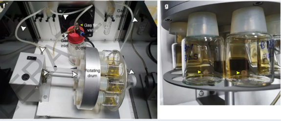 Nature:人造机器子宫!以色列科学家首次在人造子宫中培养哺乳动物胚胎 中网时尚,stylechina.com