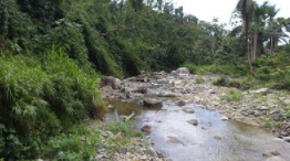 玛丽亚飓风过后三个波多黎各流域的抗生素抗性基因   中网时尚,stylechina.com