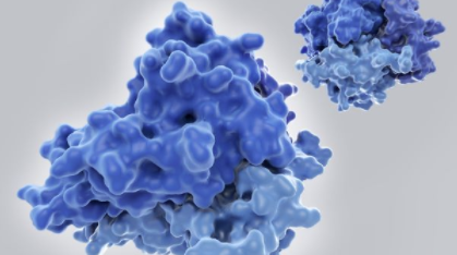 富含益生菌的食品中的分子可能在COVID-19中与“细胞因子风暴”作斗争 中网时尚,stylechina.com