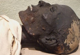 基于钒的EPR和沥青的有机自由基标记对古埃及木乃伊香脂进行的无损分析 中网时尚,stylechina.com