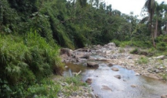 玛丽亚飓风过后三个波多黎各流域的抗生素抗性基因 中网时尚,stylechina.com