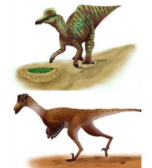 破解恐龙蛋壳的秘密，寻找表征墨西哥下加利福尼亚州的水晶恐龙蛋壳特征的线索 中网时尚,stylechina.com